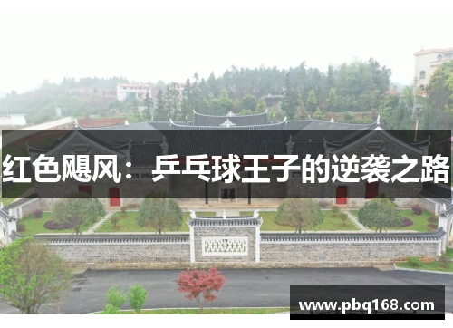 红色飓风：乒乓球王子的逆袭之路